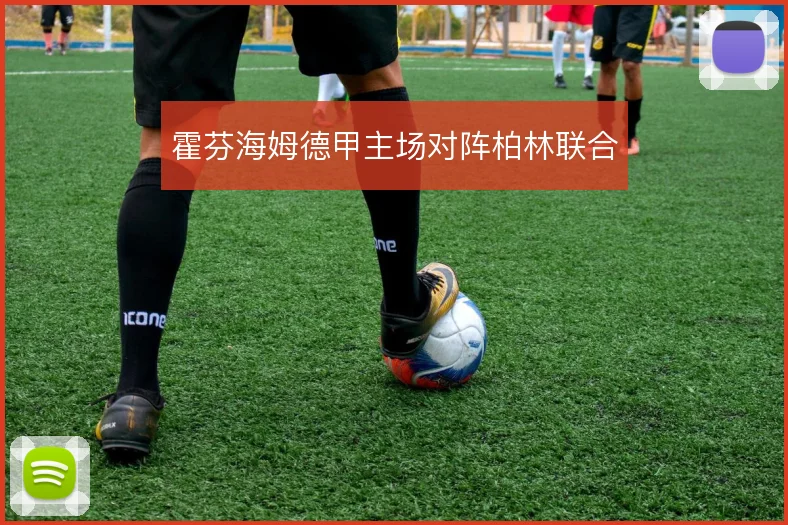 霍芬海姆德甲主场对阵柏林联合